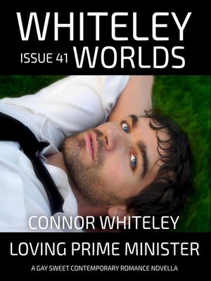 cover image of Issue 41